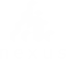 Nexus School